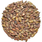 Biscuit Malt | Victory | Briess